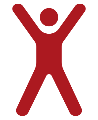 Health Icon